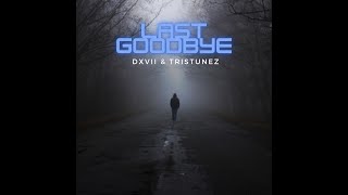 DXVII & TrisTunez - Last Goodbye [Official Visualizer]