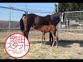 春のメーヴェとメーヴェ2023