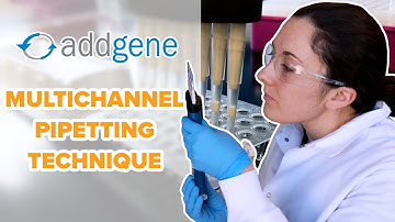 Multichannel Pipetting Technique