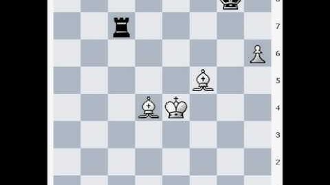 2 Bishops + R-Pawn vs. Rook (Beginner)