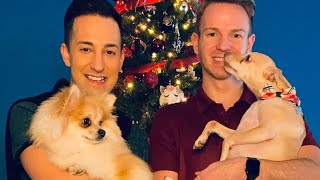 Christmas 2023 DogVlog with our Pomeranian and Italian Greyhound