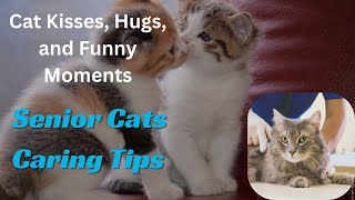 Senior Cats Caring Tips | Cat Kisses, Hugs, and Funny  | Girl kisses cat and cat kisses her back