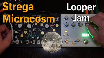 Strega Microcosm - Looper Jam