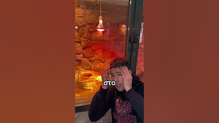 ΤΟ ΜΕΓΑΛΥΤΕΡΟ ΦΙΔΙ ΣΤΟ ΚΟΣΜΟ