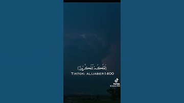 اكتب شيء تؤجر عليه🕊️🤍 | القارئ الشيخ علي جابر