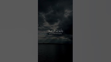 اجمل حالات واتس اب بصوت | سلمان العتيبي | تلاوة رائعة وخاشعة | حالات واتس اب