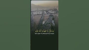 #قران_كريم #تلاوة_خاشعة؛ #محمد_اللحيدان #المصحف @محمداللحيدان-ض6ظ