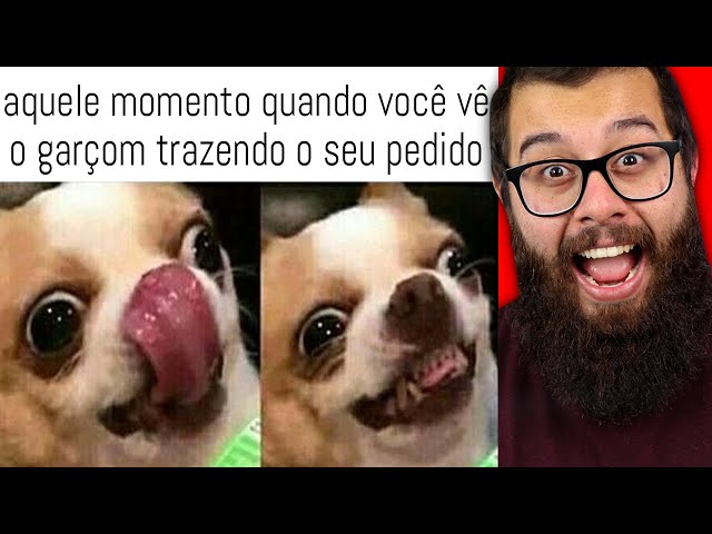 Qual foi?  Memes engraçado, Memes, Engraçado