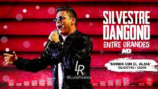 Brindo con el alma (Audio) - Silvestre Dangond & Cocha Molina - Entre Grandes Tour 2019