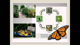 The Coherence Principle