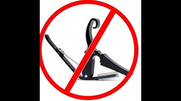 Kemper  profiler Transpose