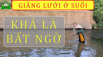 GIĂNG LƯỚI BẮT CÁ SUỐI - MIỀN NÚI TV #miennuitv #atkdinhhoa #sanbat