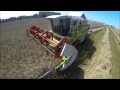 Moisson 2014 colza agrimachine59 f