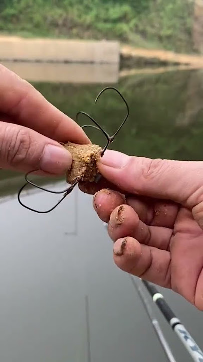 Download lagu Câu lục đầu cần cho bồng bềnh anh em ạ