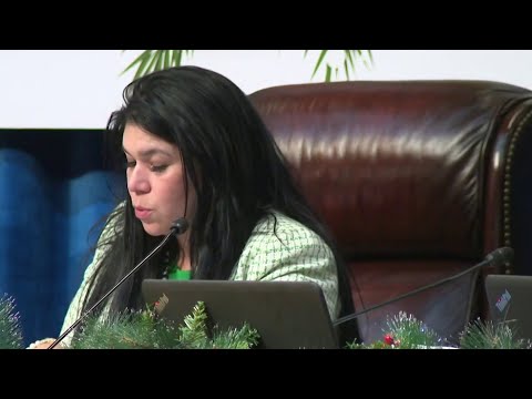 Two South Florida politicians call it quits after state law ruling