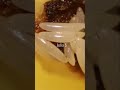 Выбросьте еду, если увидите это 😱 #Shorts
