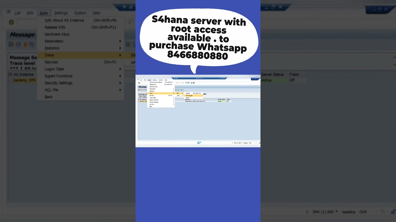 Message Server Trace in S4HANA System 