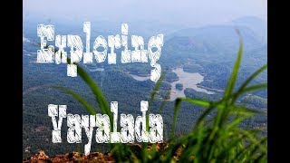 Vayalada View Point
