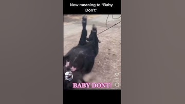 Thumbnail of “Baby Don’t” 🤣 video 🤠 #babydont #cowgirl #ranchgirls #ranchy #punchy #countrymusic #badcows #cow