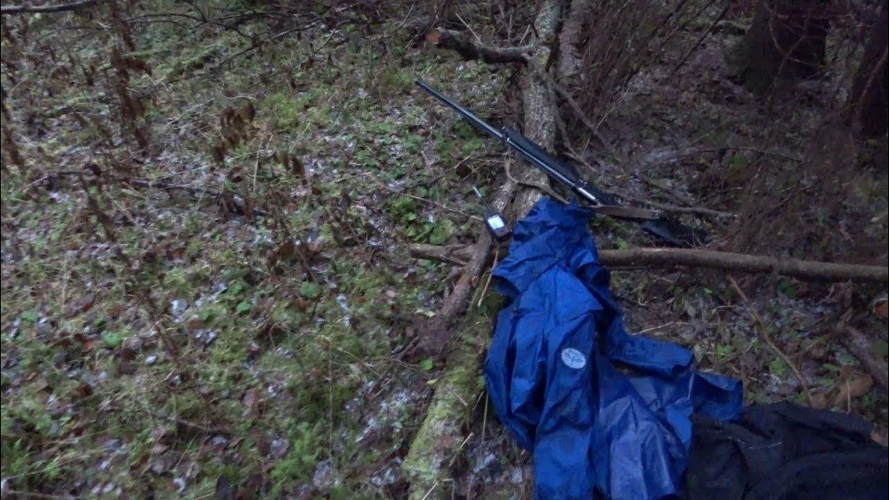 ярославский охотник серега свежее видео