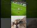 #lifeisbutadream #catmemes #whowillbemylifepartnerta #catphotos #follballxx