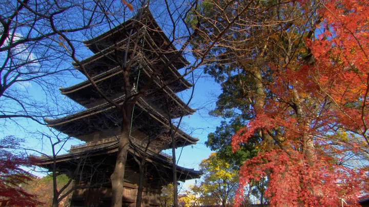 Secret of the Pagoda's Earthquake Resistant Design - DayDayNews