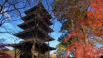 Secret of the Pagoda