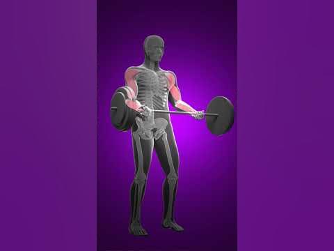 Это Лучшее Упражнение на Бицепс - YouTube