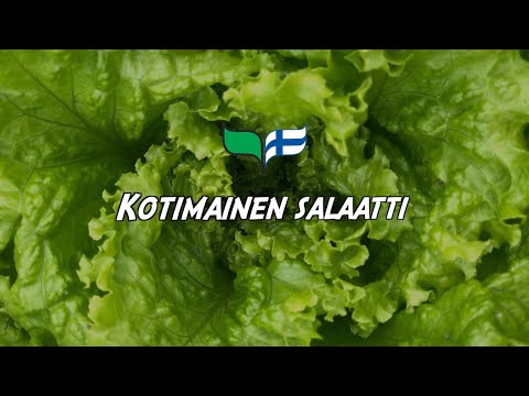 Video: Kuinka Tehdä Salaatti 