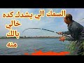 طريقه تطعيم الكركور بالطعم الحي بطريقه المقلوبه