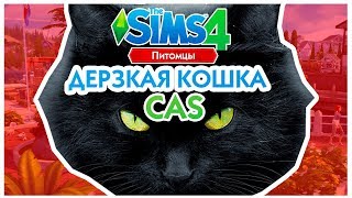 THE SIMS 4 ПИТОМЦЫ CAS - ДЕРЗКАЯ КОШКА! THE SIMS 4 ПИТОМЦЫ CAS - ДЕРЗКАЯ КОШКА!