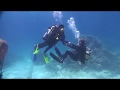 Intro Scuba Dive by a non swimmer- Great Barrier Reef - Quicksilver