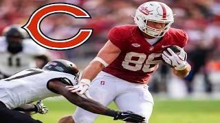 Sam Roush (TE) 🔥 | FULL Stanford Highlights | Welcome to the Chicago Bears