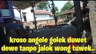 Story WA(kodrate wong lanang)