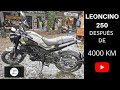 BENELLI LEONCINO 250 OBSERVACIONES DESPUÉS DE 4000 KM ¿ES REALMENTE BUENA?