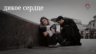 картинка: Seyran & Ferit//Дикое сердце