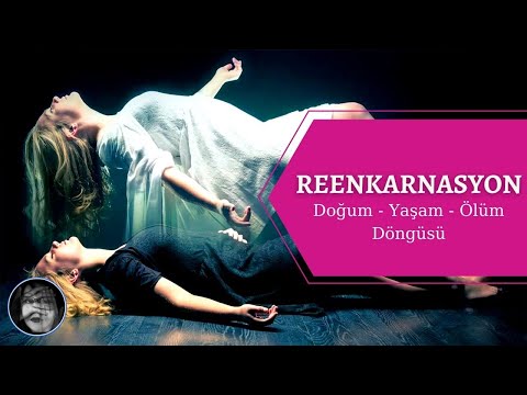 REENKARNASYON (Doğum - Yaşam - Ölüm Döngüsü) / Alina Azim