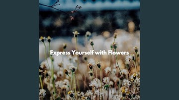 Sensational Backdrops for Higher Overtones