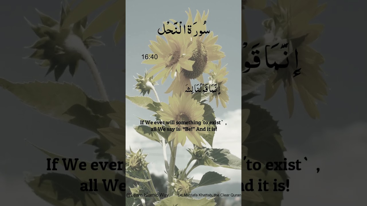 Surah Al-Nahl Ayat No 16 : 39 40 Arabic | سورۃ النحل With English Translation  #quran #allah #yts