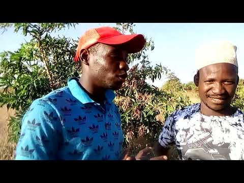 Magenge Elias Inanga 2024