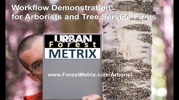 Urban Forest Metrix Workflow Demonstration