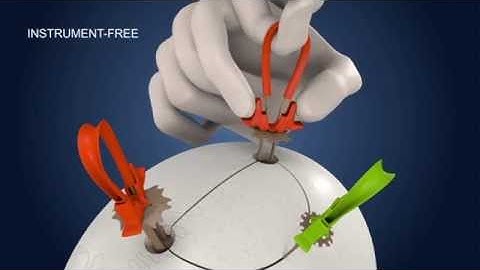 The Cranial LOOP family at work