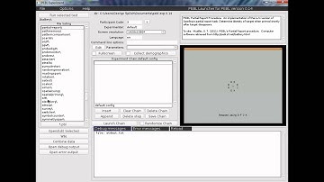 Sternberg PEBL directions