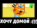 ХОЧУ ДОМОЙ 😭 | СБОРНИК ЛЕГЕНДА №59 | МУД ТРИ КОТА ДЕМОТИВАТОР БЕЗ МАТА