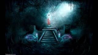 Meerkut-Liveset Mindwaveswitzerland