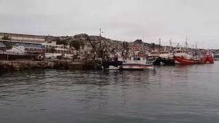 Paseo en barco - muelle morgan