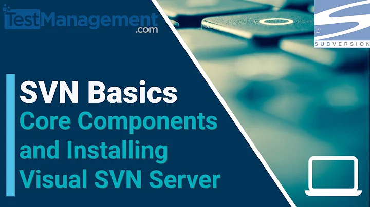 SVN  Basics - Core Components and Installing Visual SVN Server