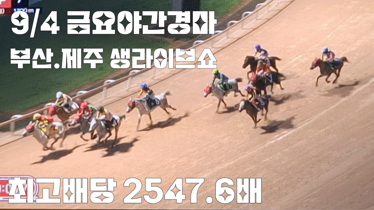 제주경마 돌톨말이 삼복승식 271.1배 마추고 나머지경주는~쩝(금요 야간경마 생라이브쇼)