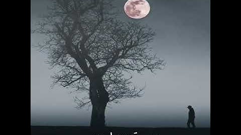 " أولم ير الإنسان أنا خلقناه من نطفة " The last sura Yasin آخر سورة يسٓ | عبدالولي الاركاني