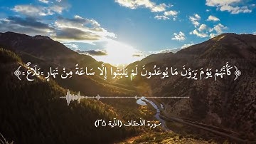 آياتٌ مختارةٌ مِنَ الذكرِ الحكيم سورةُ الأحقاف (٣٥)#أهل_القرآن_الأبرار